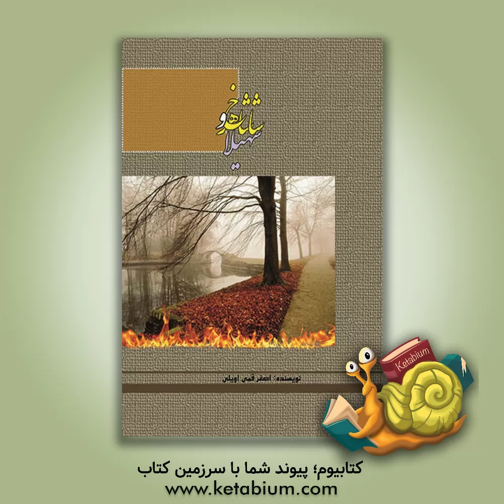 کتاب سهیلا و شاهرخ اثر اصغر قمی‌اویلی