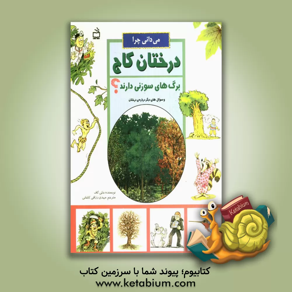 کتاب می دانی چرا درختان کاج برگ های سوزنی دارند؟ و سوال های دیگر درباره ی جنگل ها |اثر جکی گف