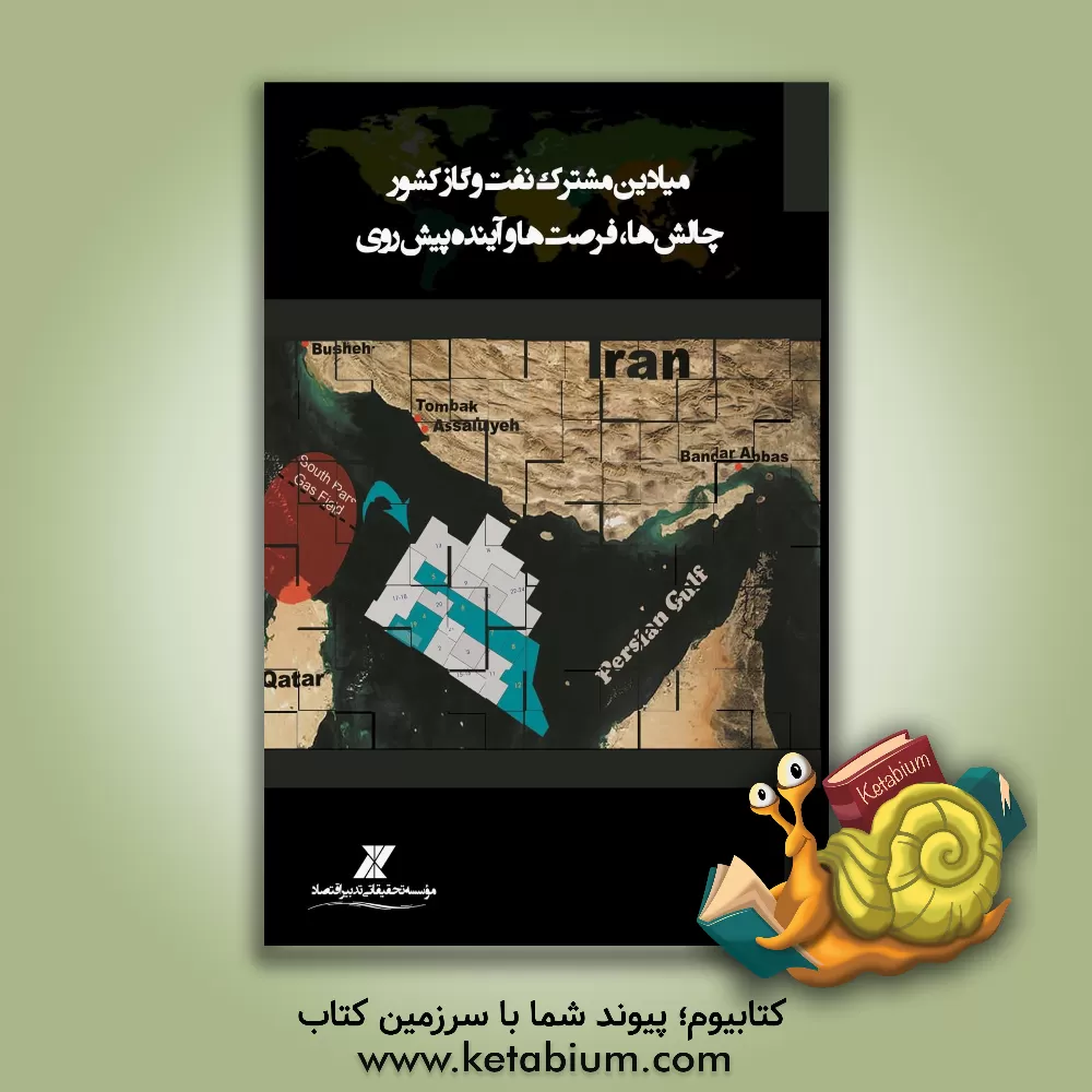 کتاب میادین مشترک نفت و گاز کشور (چالش ها، فرصت ها و آینده پیش رو) اثر محمد صیادی