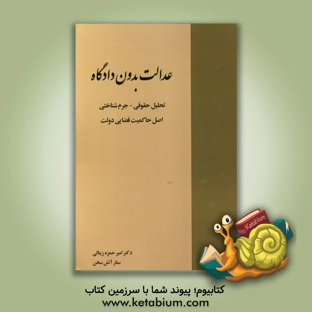 کتاب عدالت بدون دادگاه: تحلیل حقوقی - جرم شناختی اصل حاکمیت قضایی دولت اثر امیرحمزه زینالی