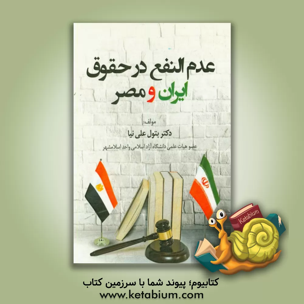 کتاب عدم النفع در حقوق ایران و مصر اثر بتول علی‌نیا