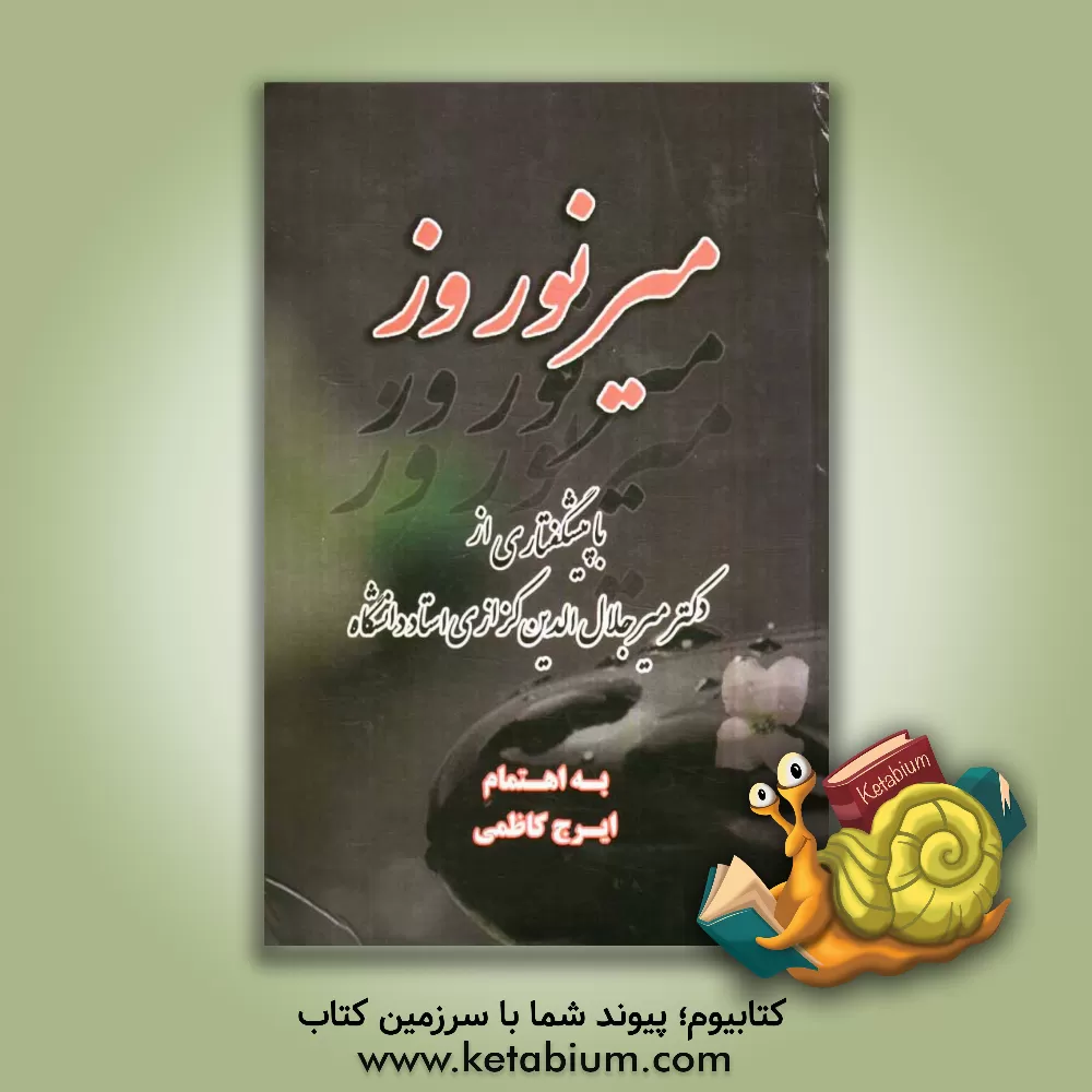 کتاب میرنوروز اثر میرجلال‌الدین کزازی