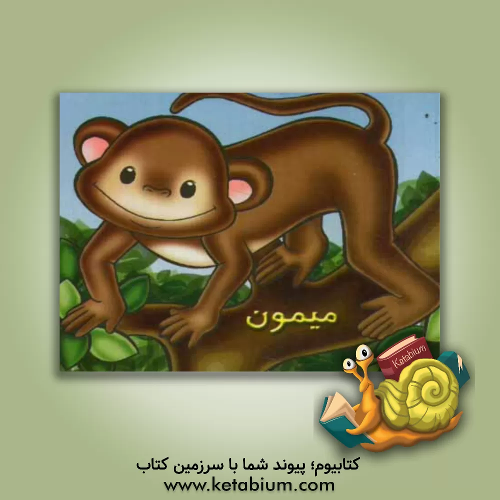 کتاب میمون اثر شهره یوسفی