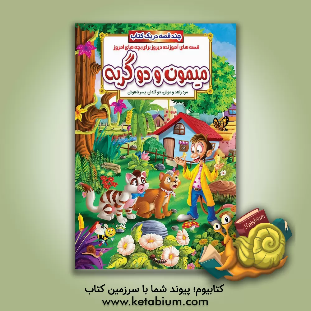 کتاب میمون و دو گربه و داستان های دیگر اثر حسین حبیبی