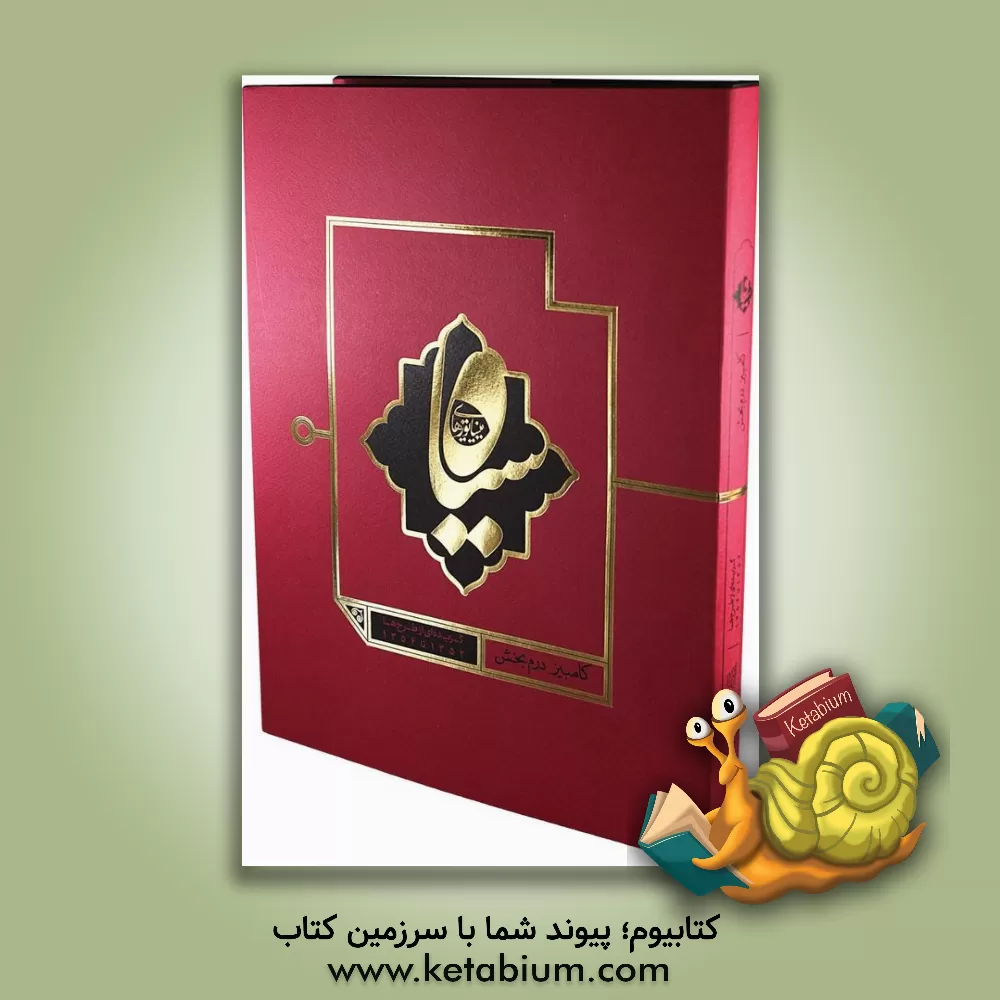 کتاب مینیاتورهای سیاه: گزیده ای از کاریکاتورها 1352 تا 1354 اثر کامبیز درم‌بخش