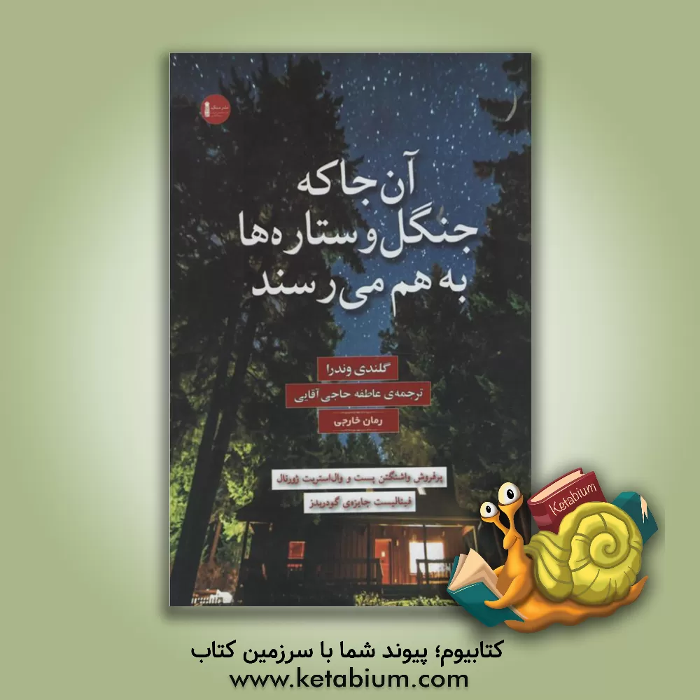 کتاب آن جا که جنگل و ستاره ها به هم می رسند اثر گلندی وندرا