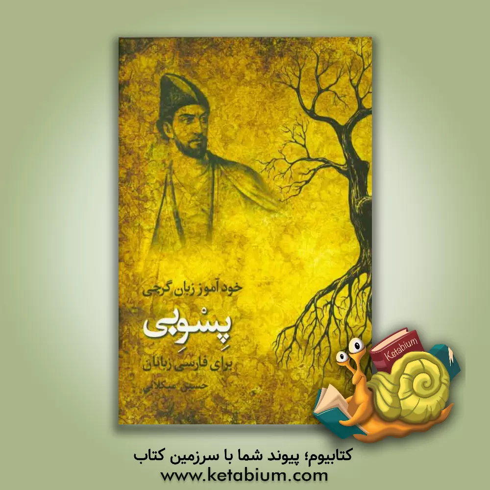 کتاب خودآموز زبان گرجی "پسوبی": برای فارسی زبانان |اثر حسین میکلانی