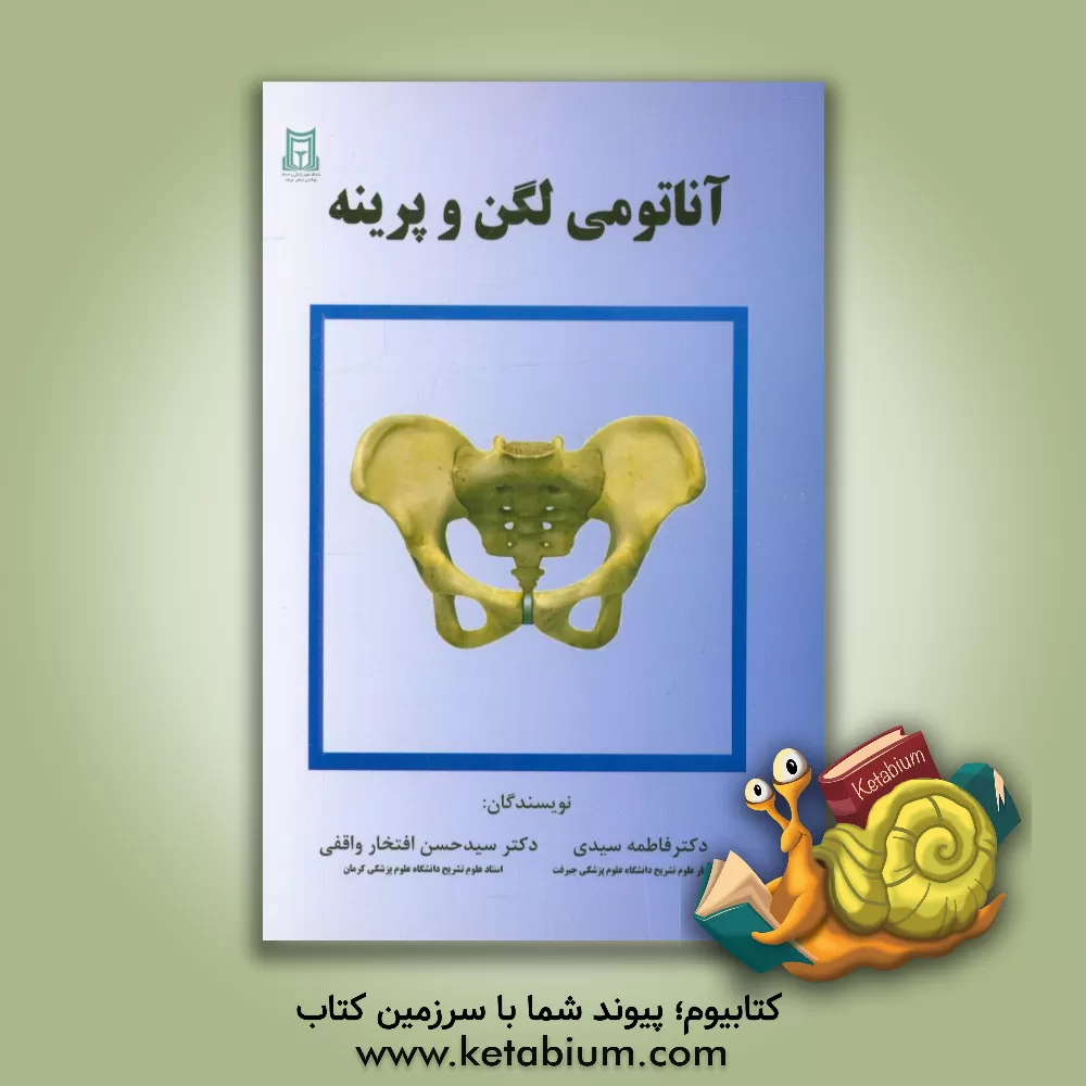 کتاب آناتومی لگن اثر فاطمه سیدی