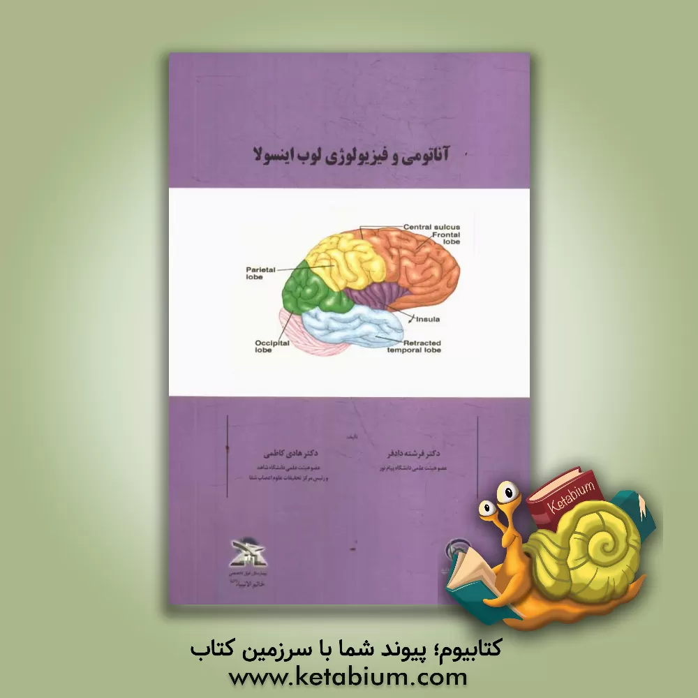 کتاب آناتومی و فیزیولوژی لوب اینسولا اثر هادی کاظمی