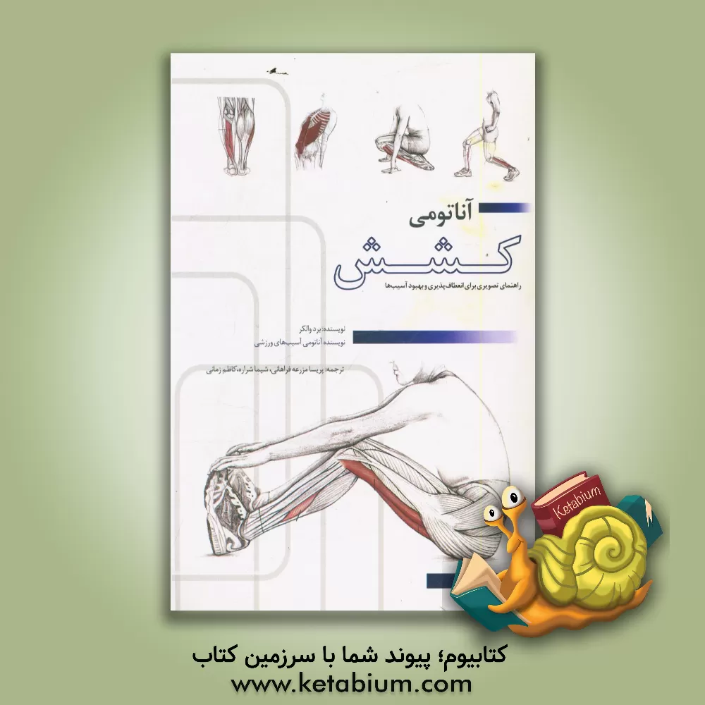کتاب آناتومی کشش: انعطاف پذیری و توانبخشی آسیب اثر برد واکر