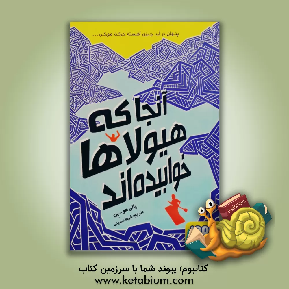 کتاب آنجا که هیولاها خوابیده اند اثر پولی هوین