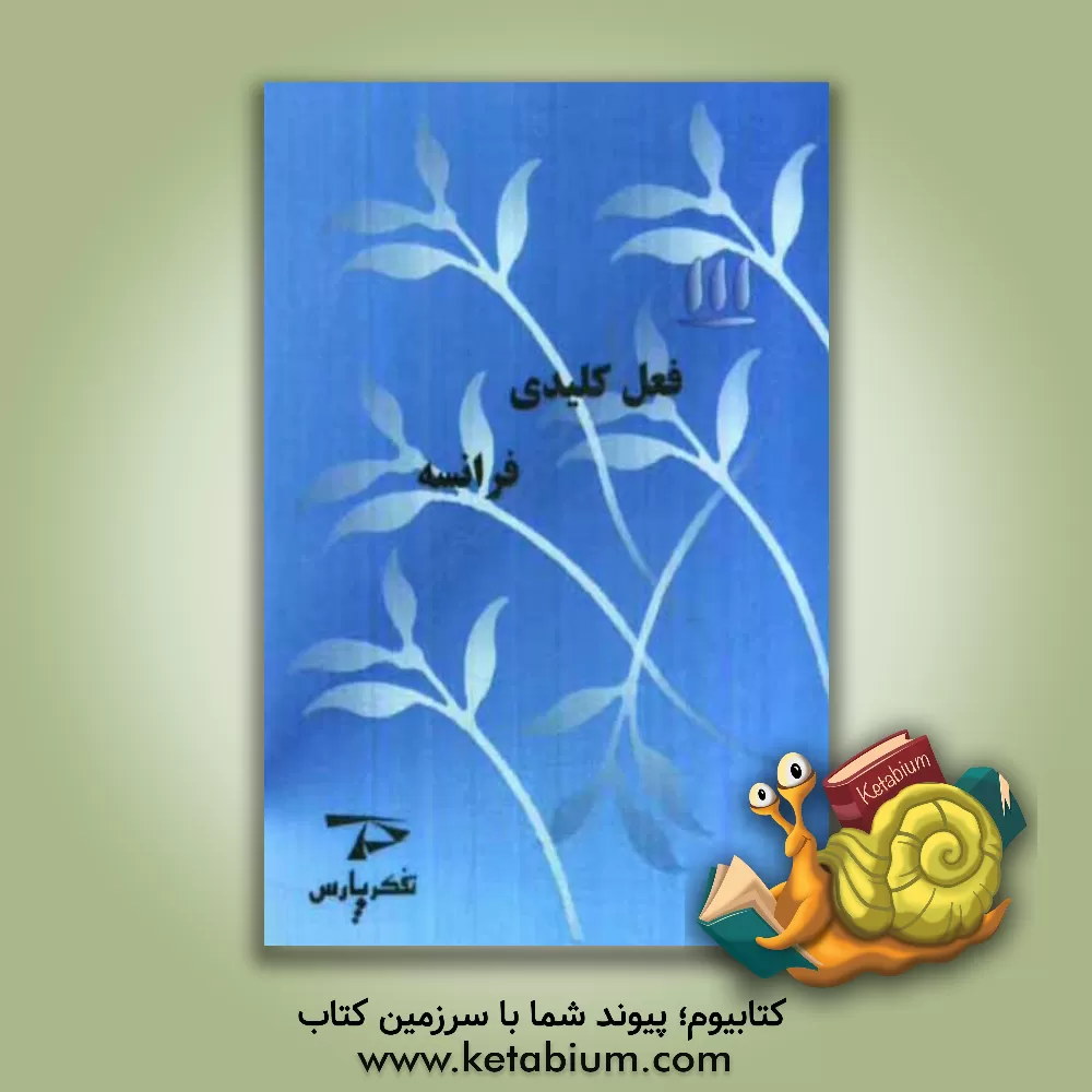 کتاب 111 فعل کلیدی فرانسه اثر ترانه قطب