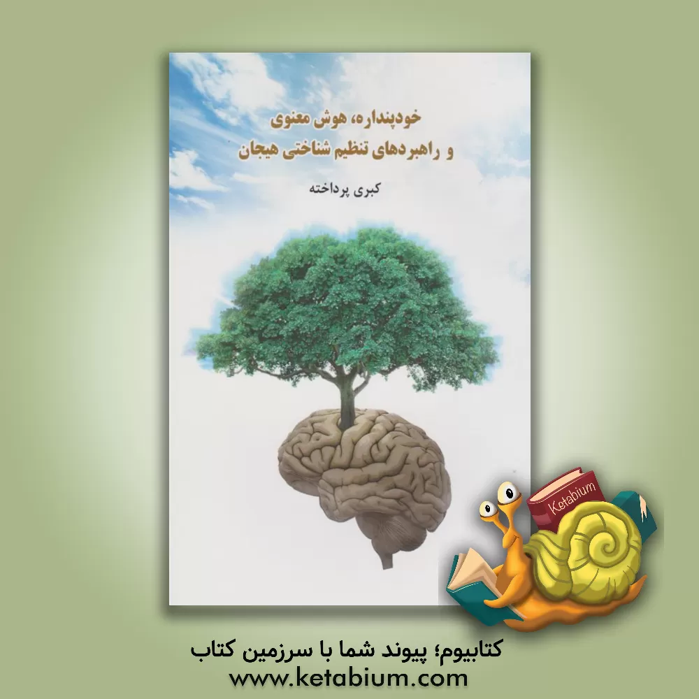 کتاب خودپنداره، هوش معنوی و راهبردهای تنظیم شناختی هیجان اثر کبری پرداخته