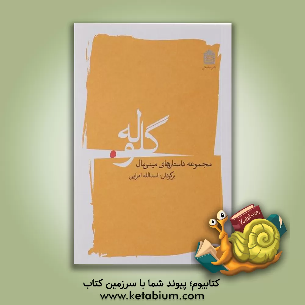 کتاب نامه های پرتب و تاب |اثر خورخه لوئیس بورخس