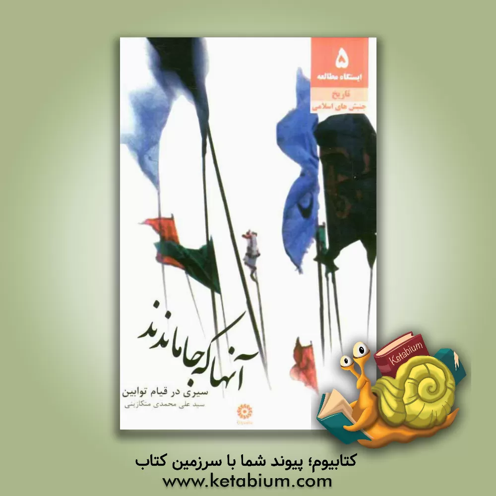 کتاب آنها که جا ماندند (سیری در قیام توابین) اثر علی محمدی‌متکازینی