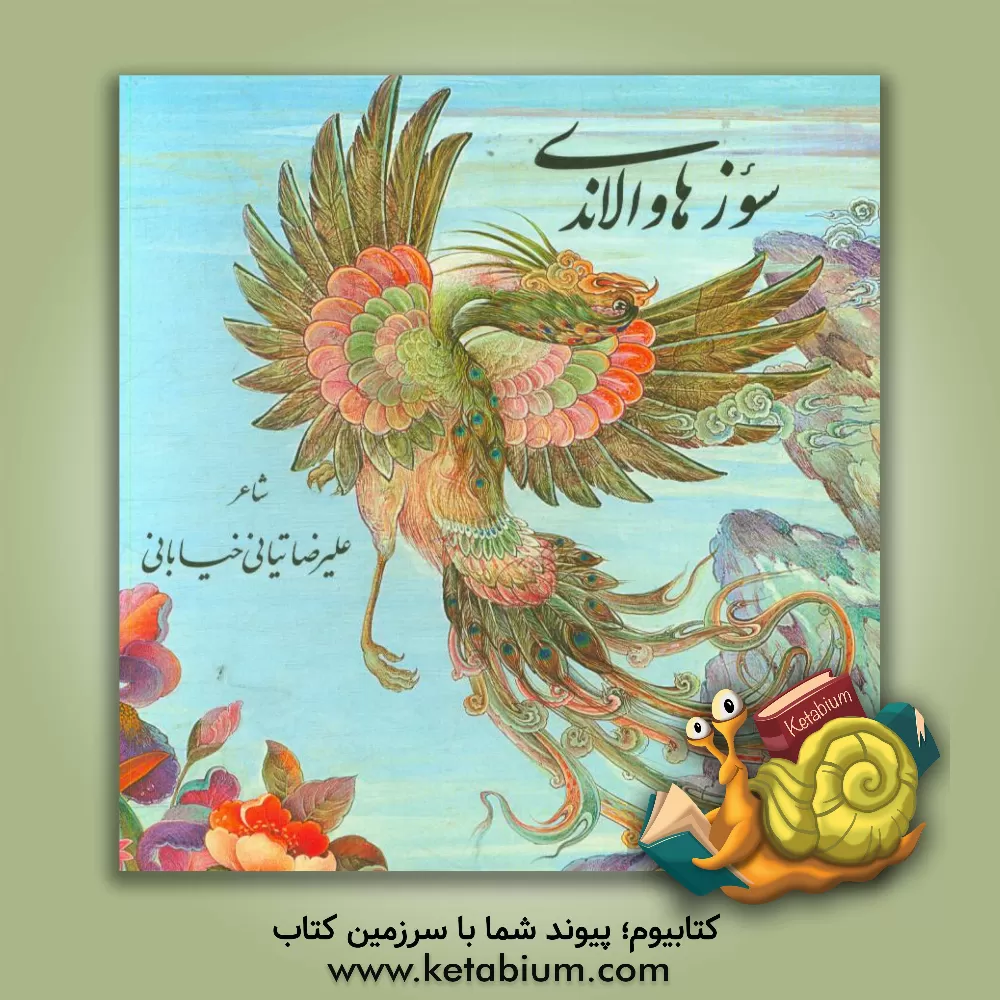 کتاب سوز هاوالاندی اثر علیرضا تیانی‌خیابانی