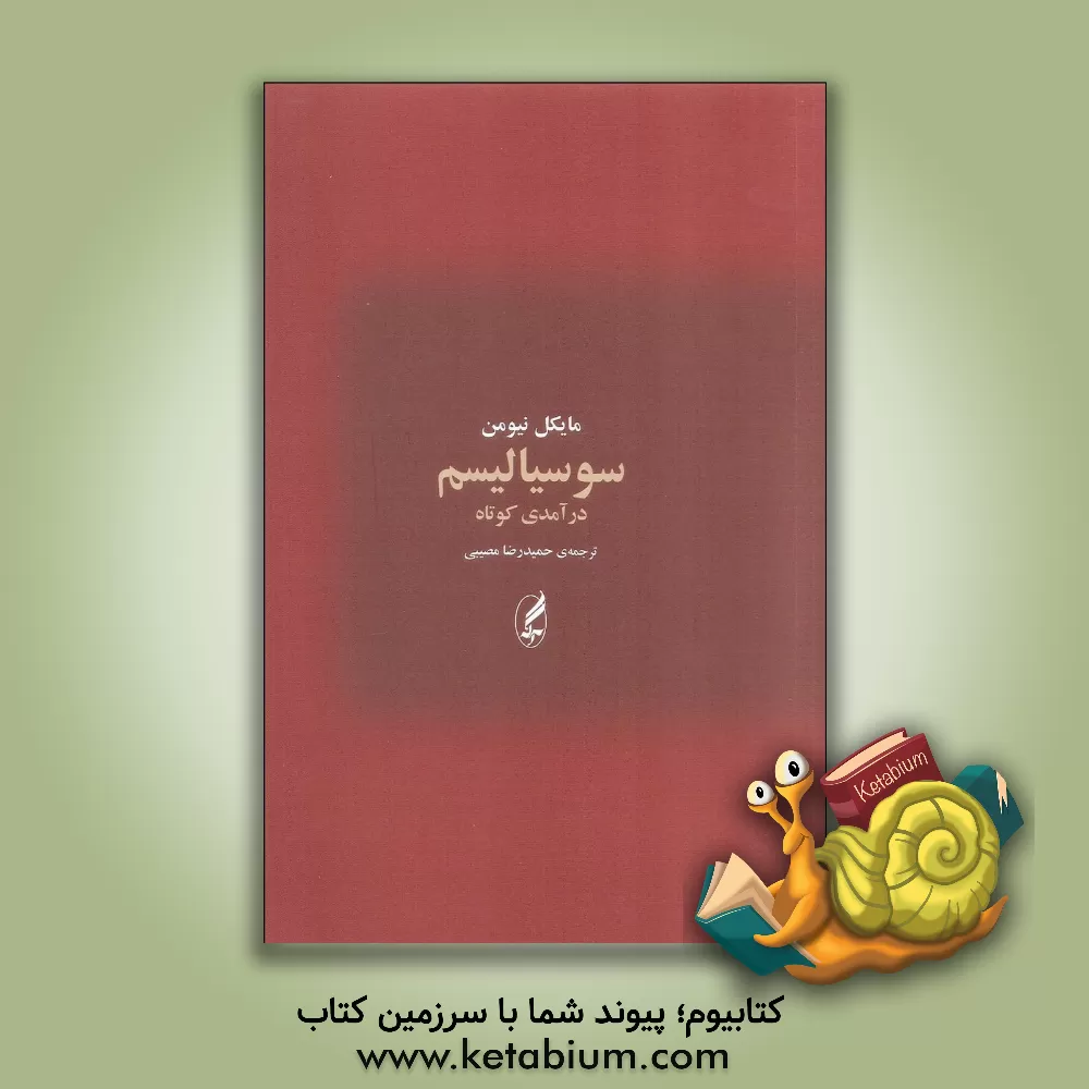 کتاب سوسیالیسم: درآمدی کوتاه اثر مایکل‌جی. نیومن