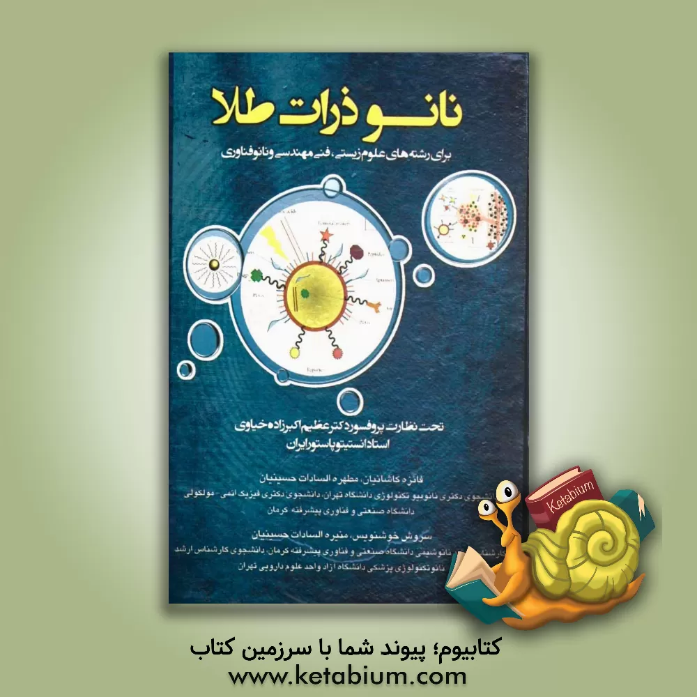 کتاب نانوذرات: برای رشته های علوم زیستی، فنی مهندسی و نانوفناوری اثر فائزه کاشانیان