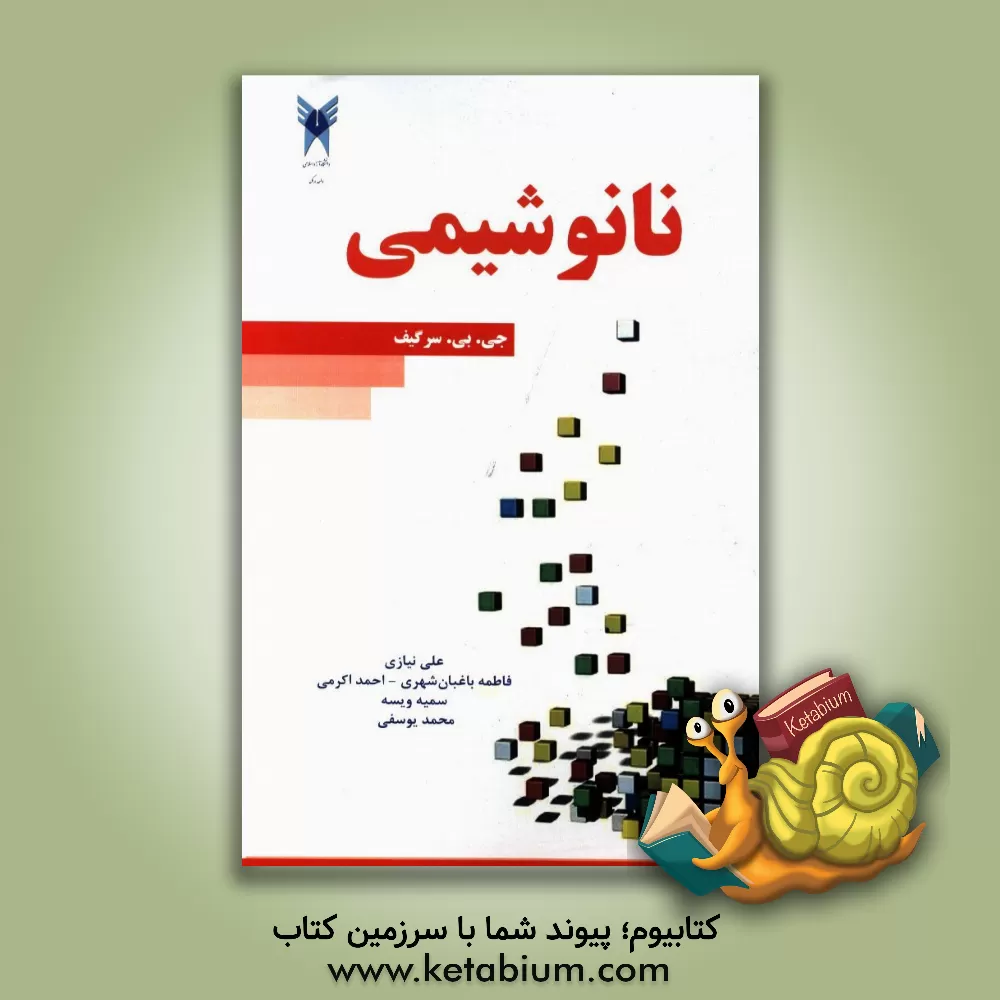 کتاب نانوشیمی اثر گلب‌باریسوویچ سرگی‌یف