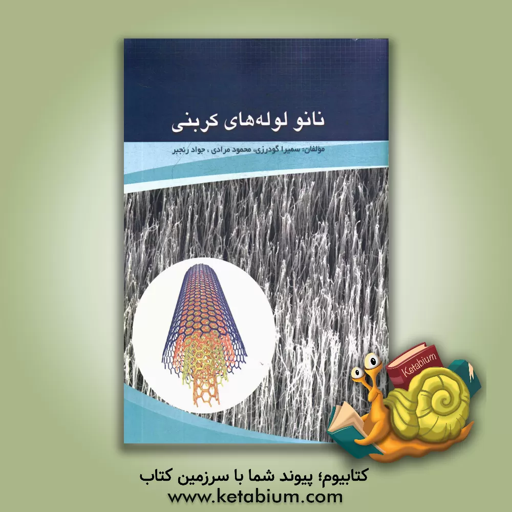 کتاب نانولوله های کربنی اثر محمود مرادی