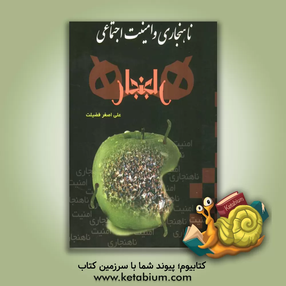 کتاب ناهنجاری ها و امنیت اجتماعی (بررسی عوامل ناهنجاری ها و تاثیر آن بر امنیت اجتماعی) اثر علی‌اصغر فضیلت