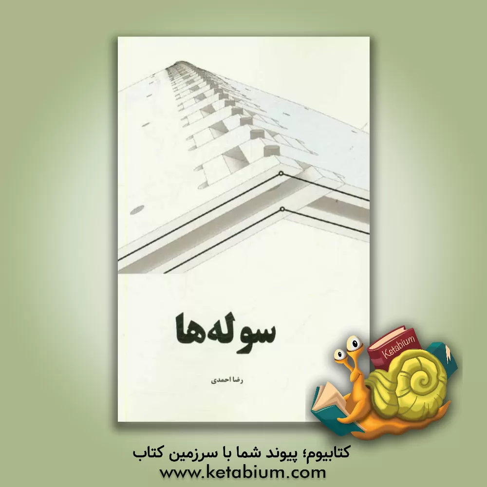 کتاب سوله ها اثر رضا احمدی