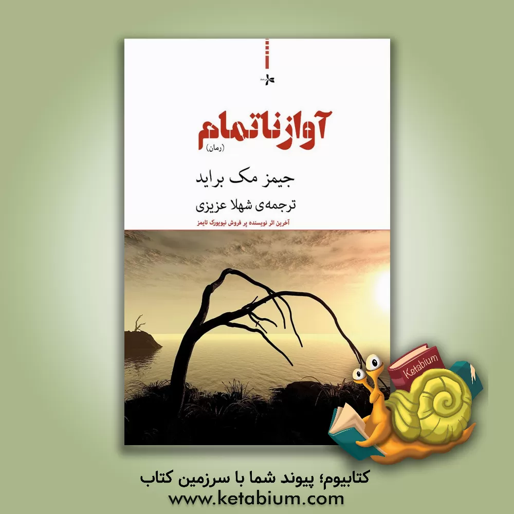 کتاب آواز ناتمام (رمان) اثر جیمز مک‌براید