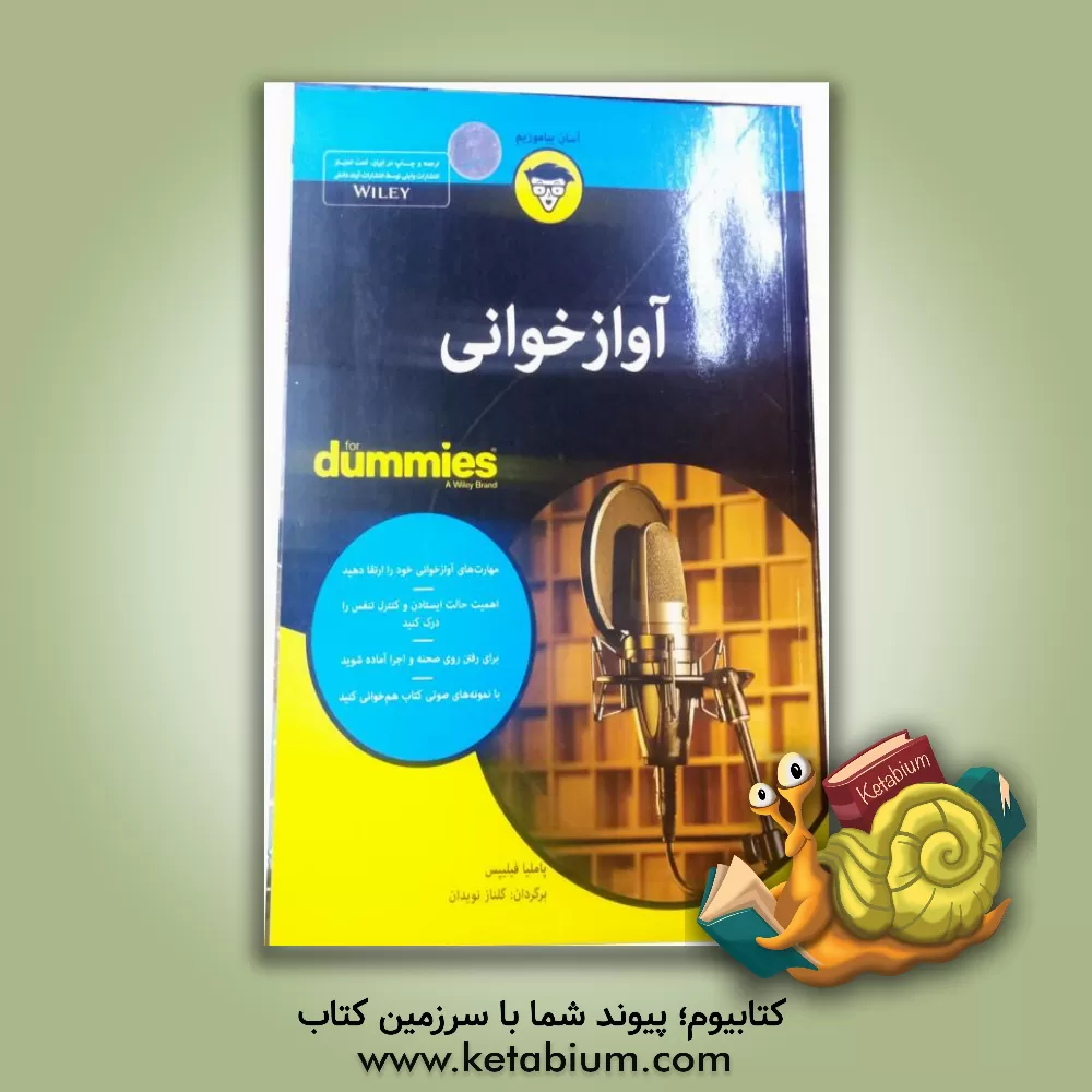 کتاب آوازخوانی for dummies |اثر پاملیاسو فیلیپس