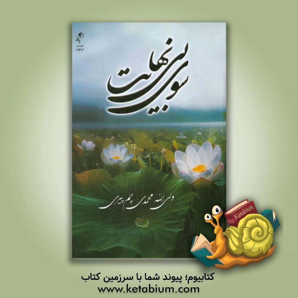 کتاب سوی بی نهایت: مثنوی اثر ولی‌الله محمدی‌چم‌پیری