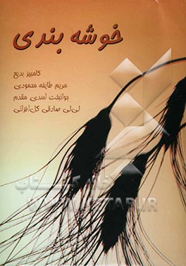 کتاب خوشه بندی اثر مریم طایفه‌محمودی