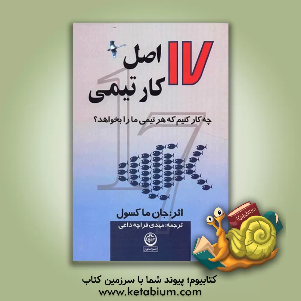 کتاب 17 اصل کار تیمی: چه کار کنیم که هر تیمی ما را بخواهد؟ اثر جان‌سی. ماکسول
