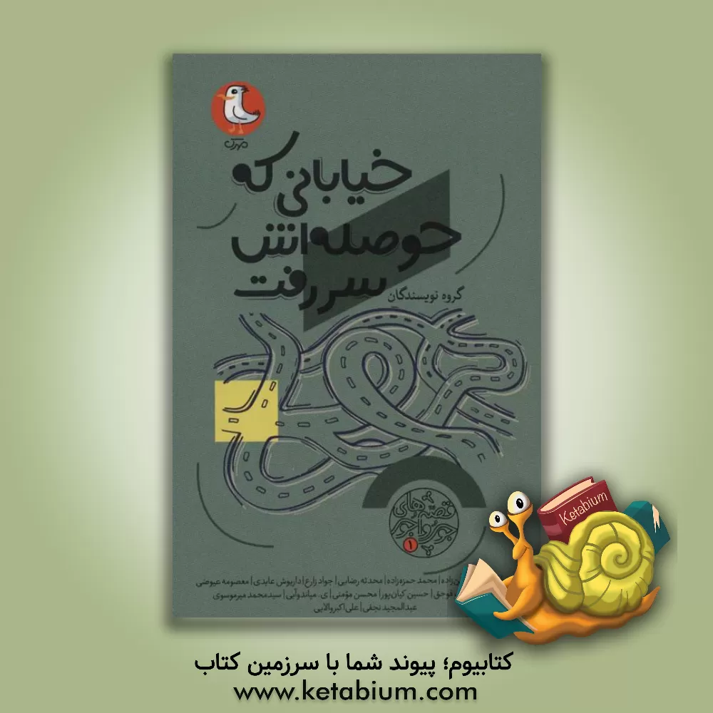 کتاب خیابانی که حوصله اش سر رفت اثر داریوش عابدی