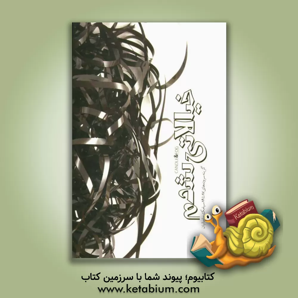 کتاب خیالاتی شدم: گزینه سروده های 87 تا 89 سیامک ساسانیان اثر سیامک ساسانیان