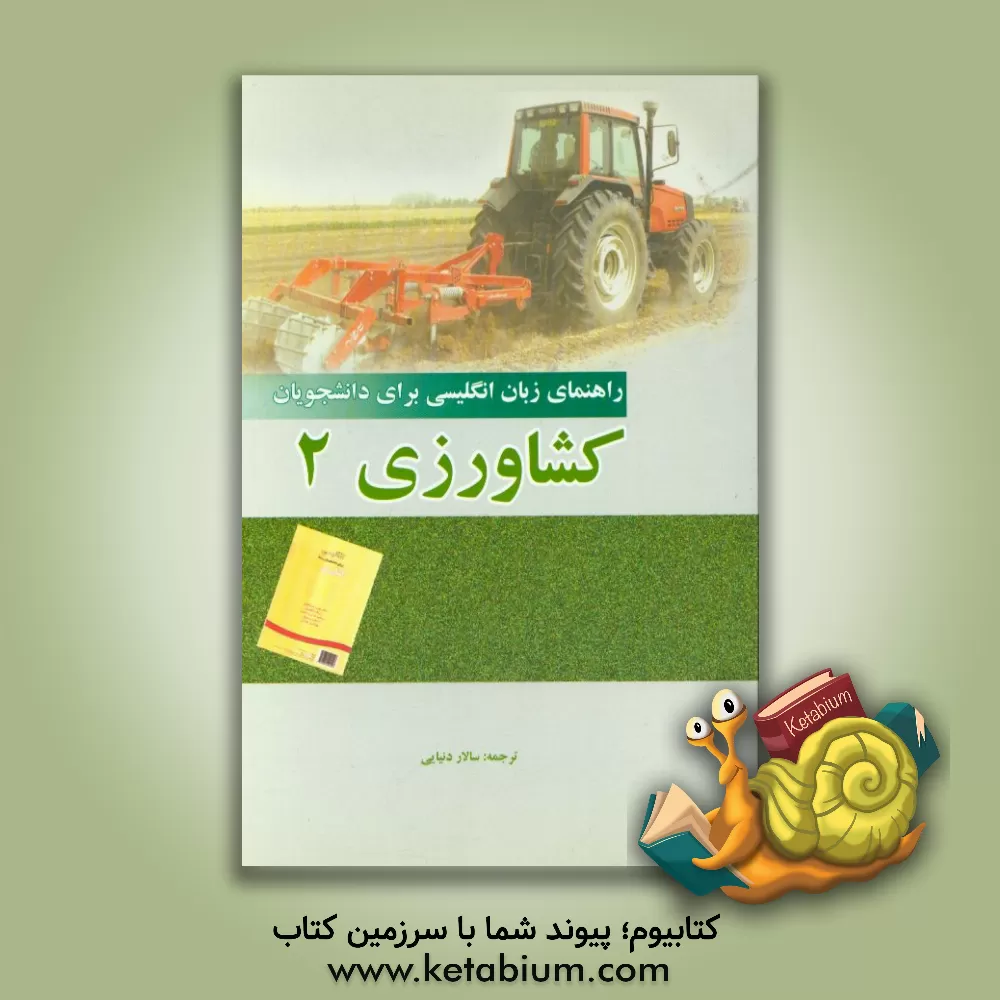 کتاب عقاب درون قاب: شعر طرح، از ساختار تا محتوا اثر شیرزاد طایفی