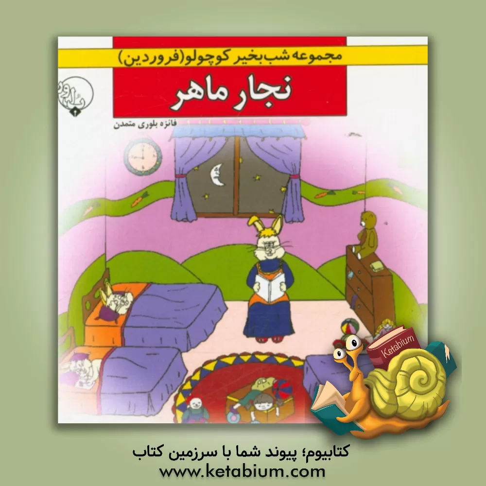 کتاب نجار ماهر اثر فائزه بلوری‌متمدن