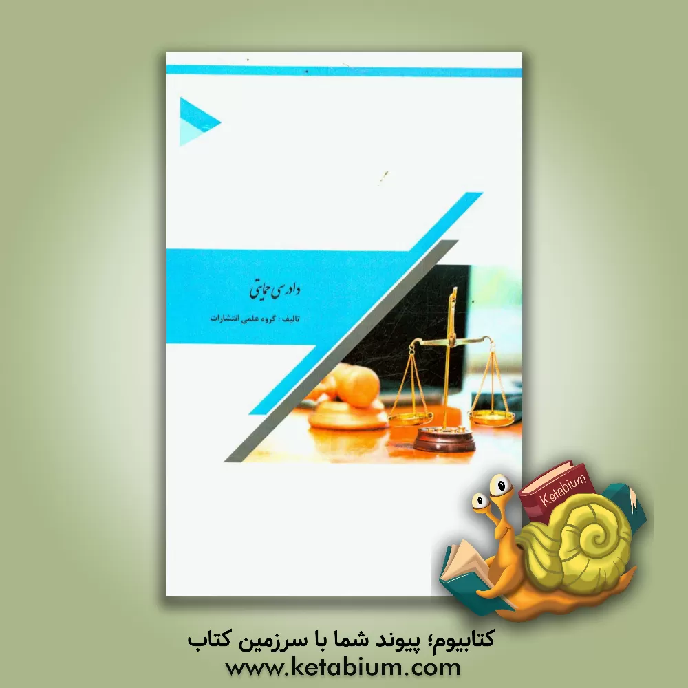 کتاب دادرسی حمایتی