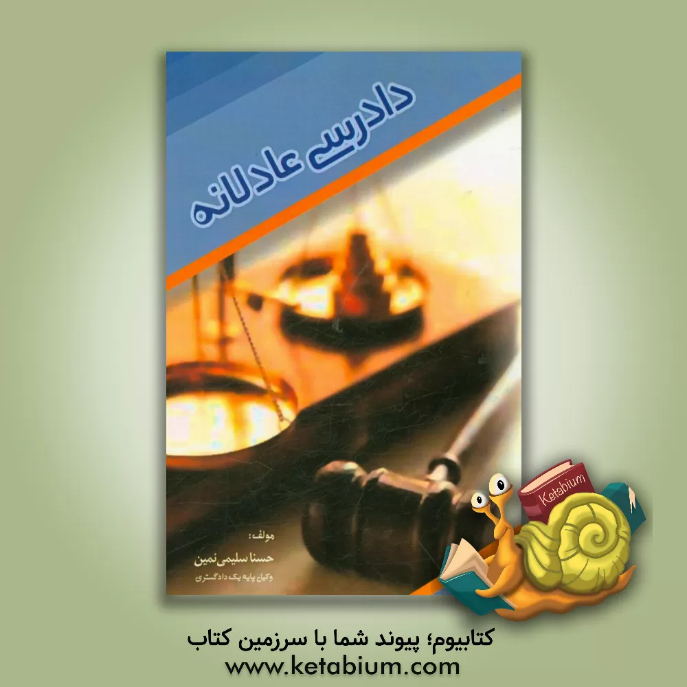 کتاب دادرسی عادلانه اثر حسنا سلیمی‌نمین