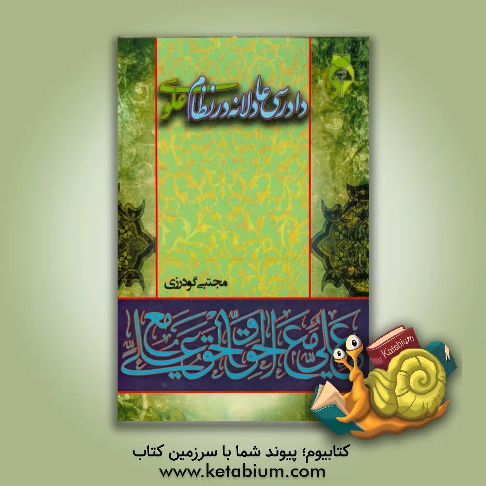 کتاب دادرسی عادلانه در نظام علوی اثر مجتبی گودرزی