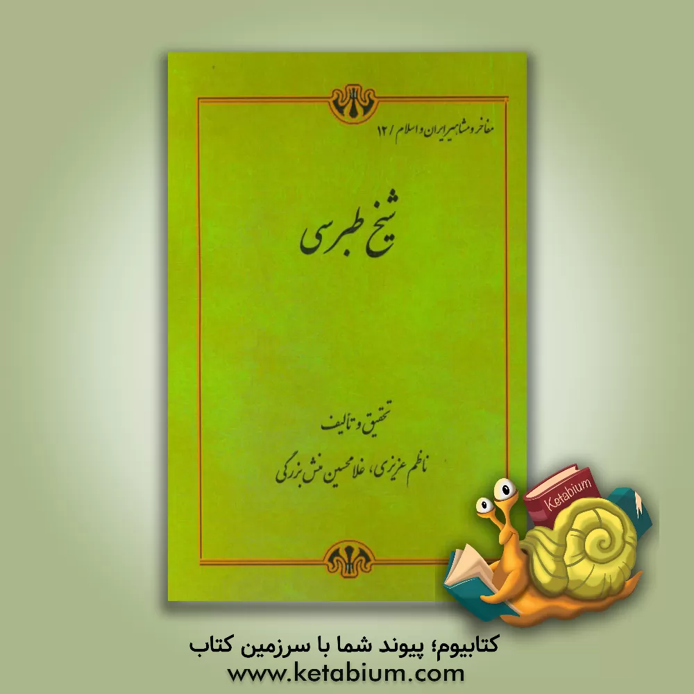کتاب علامه طبرسی اثر ناظم عزیزی