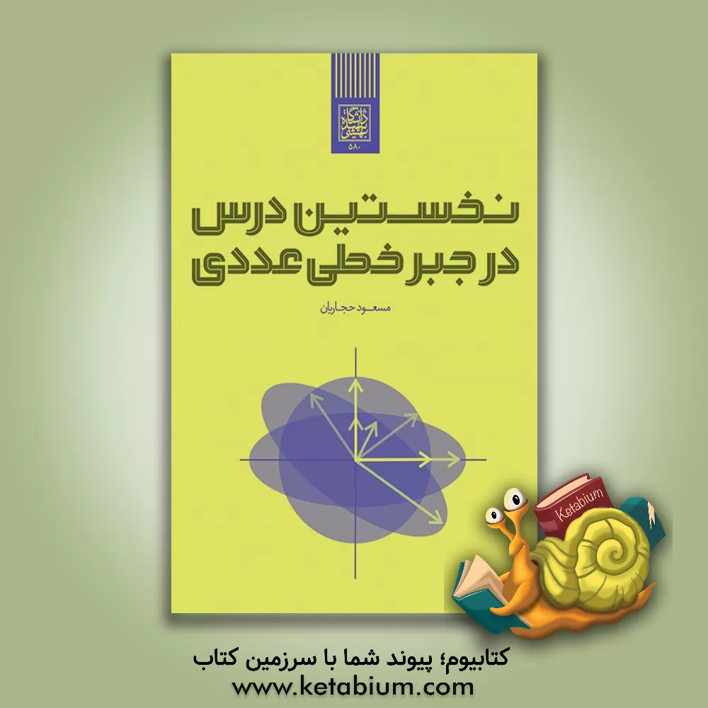 کتاب نخستین درس در جبر خطی عددی اثر مسعود حجاریان
