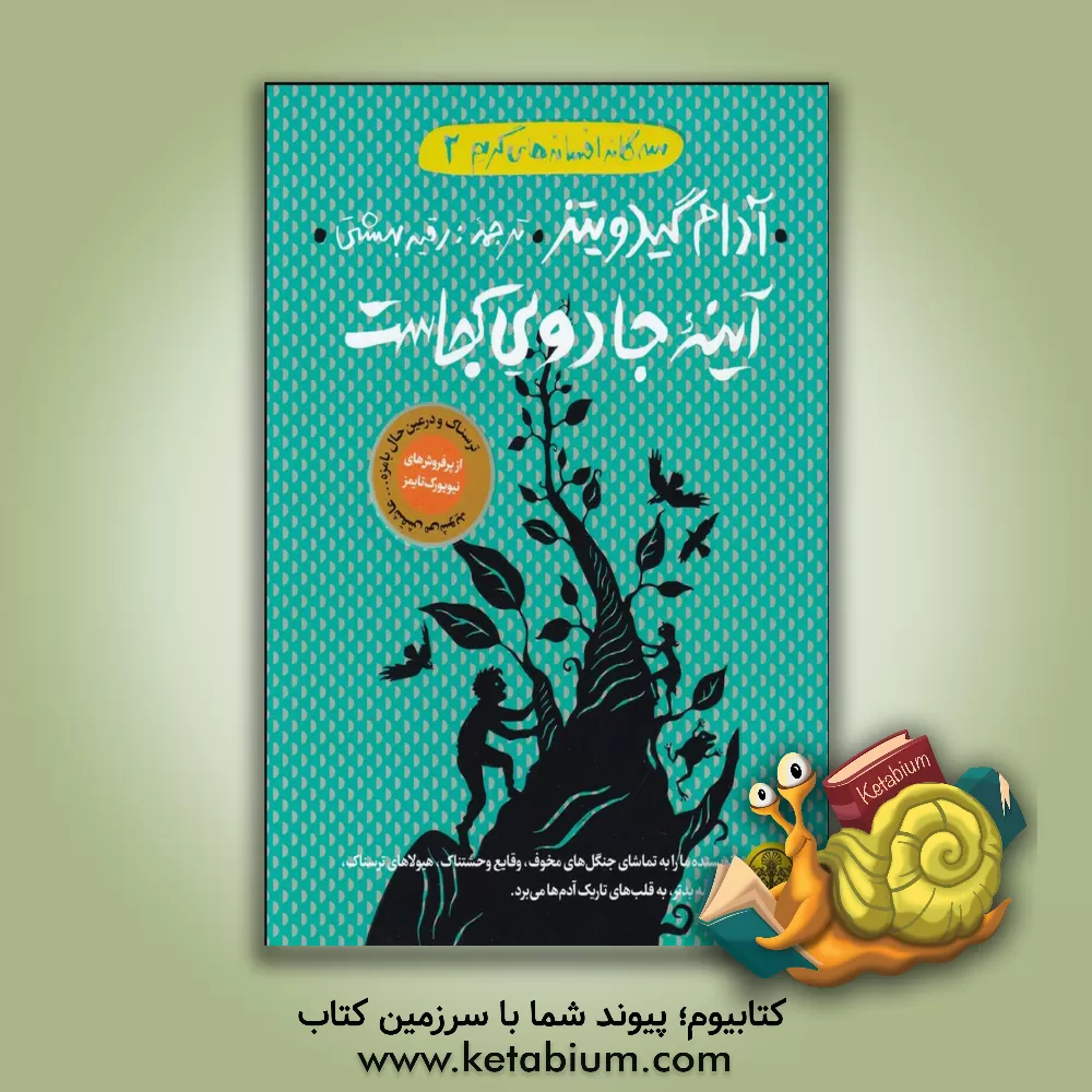 کتاب آینه جادویی کجاست اثر آدام گیدویتز