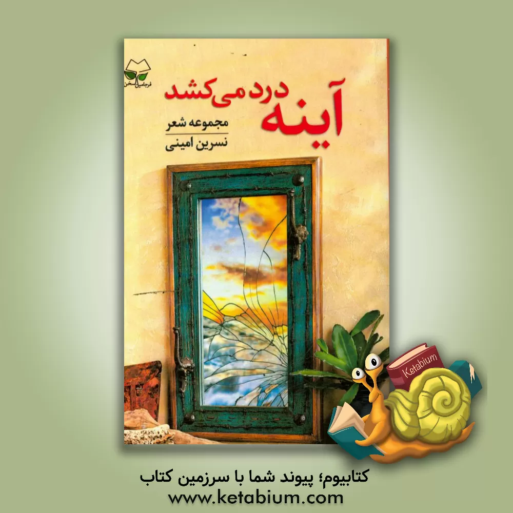 کتاب آینه درد می کشد اثر نسرین امینی