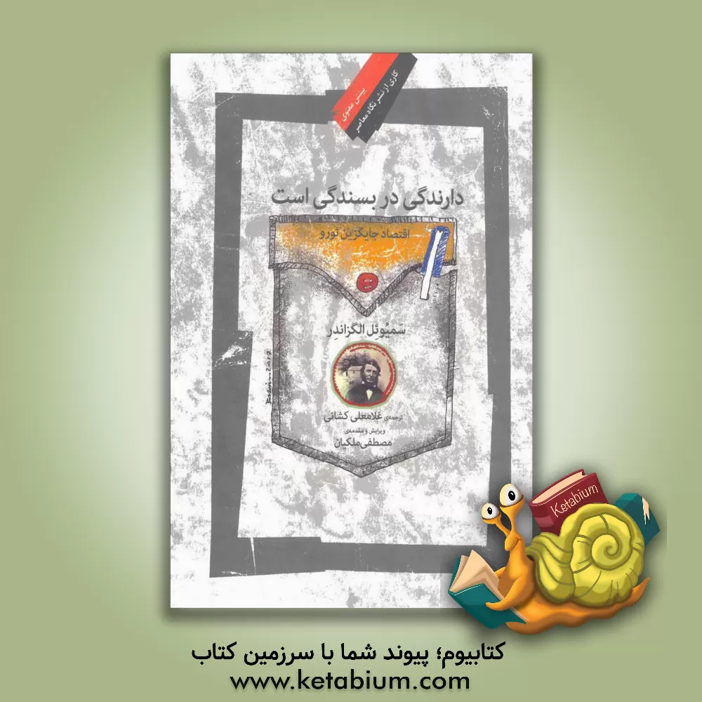 کتاب دارندگی در بسندگی است: اقتصاد جایگزین ثورو |اثر سمیوئل الگزاندر