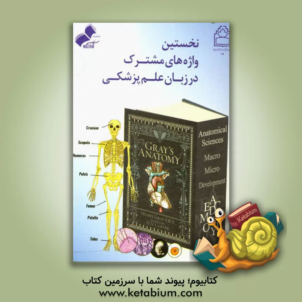 کتاب نخستین واژه های مشترک در زبان علم پزشکی اثر طیبه کرمانی