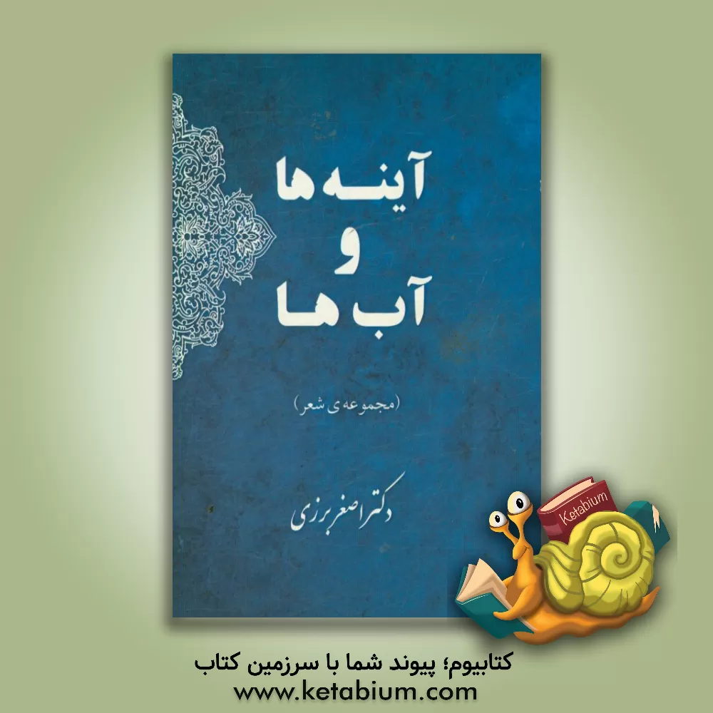 کتاب آینه ها و آب ها اثر اصغر برزی