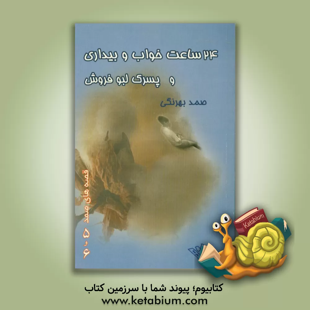 کتاب 24 ساعت در خواب و بیداری و پسرک لبو فروش اثر صمد بهرنگی