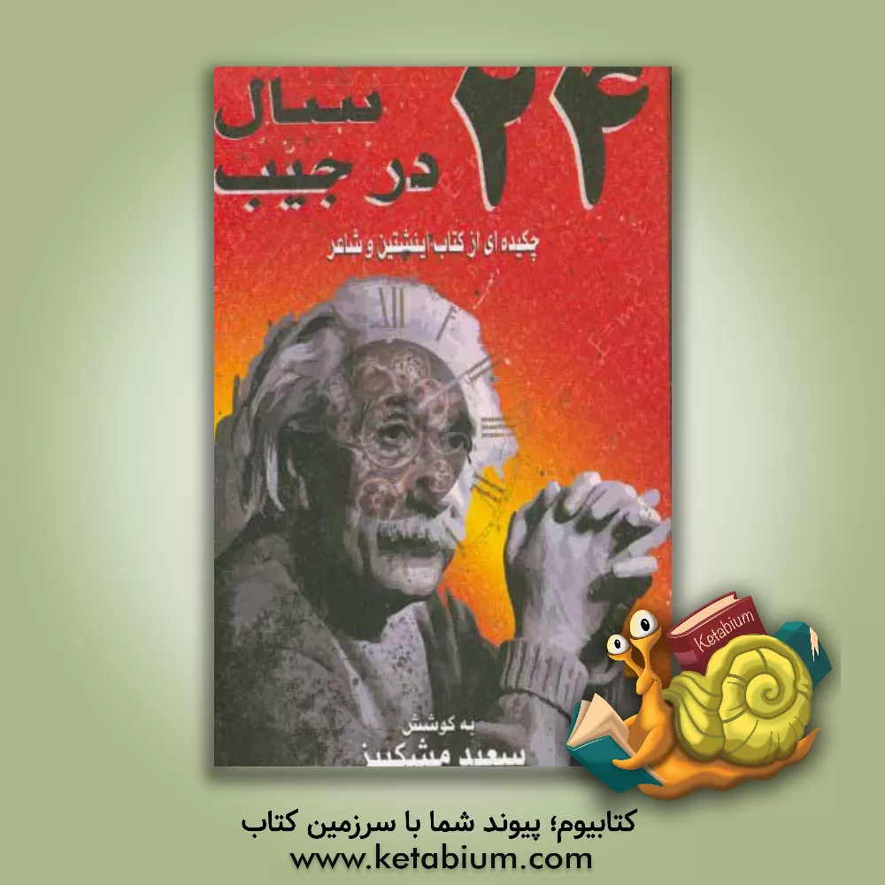 کتاب 24 سال در جیب: چکیده ای از کتاب اینشتین و شاعر اثر ویلیام هرمان