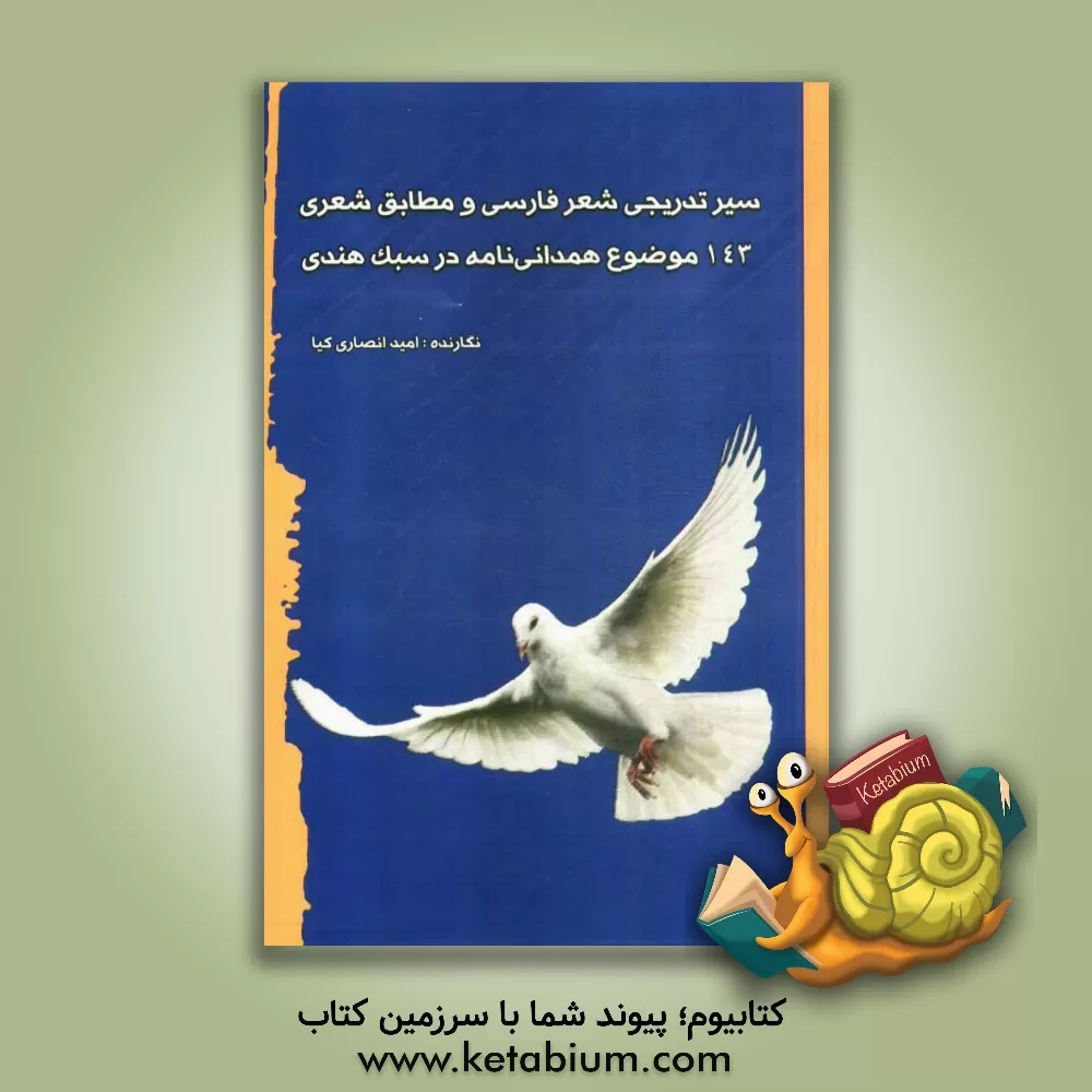 کتاب سیر تدریجی شعر فارسی و مطابق شعری 143 موضوع همدانی نامه در سبک هندی |اثر امید انصاری کیا