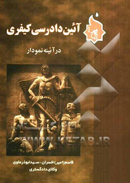 کتاب آیین دادرسی کیفری در آئینه نمودار |اثر سیدابوذر علوی