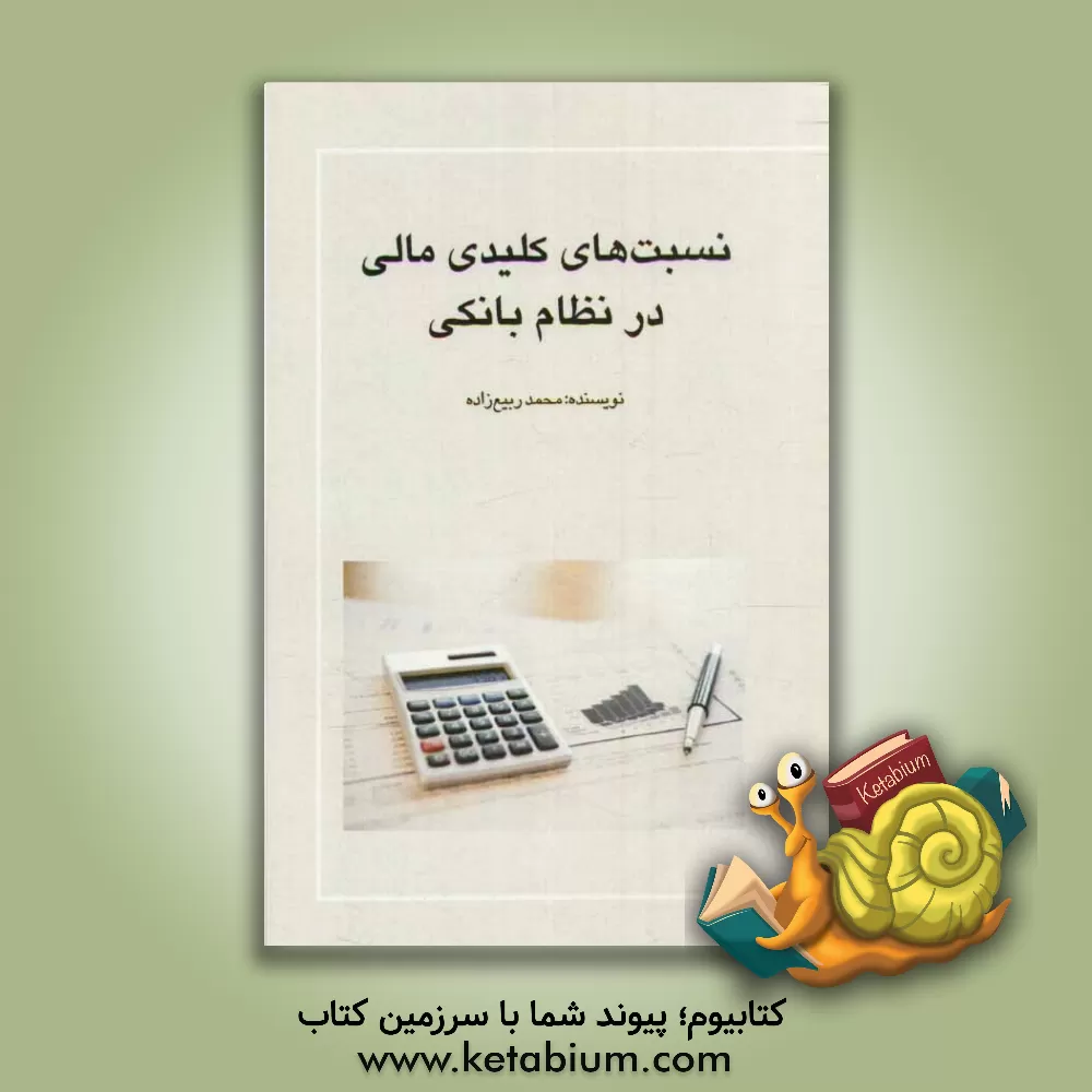 کتاب نسبت های کلیدی مالی در نظام بانکی اثر محمد ربیع‌زاده